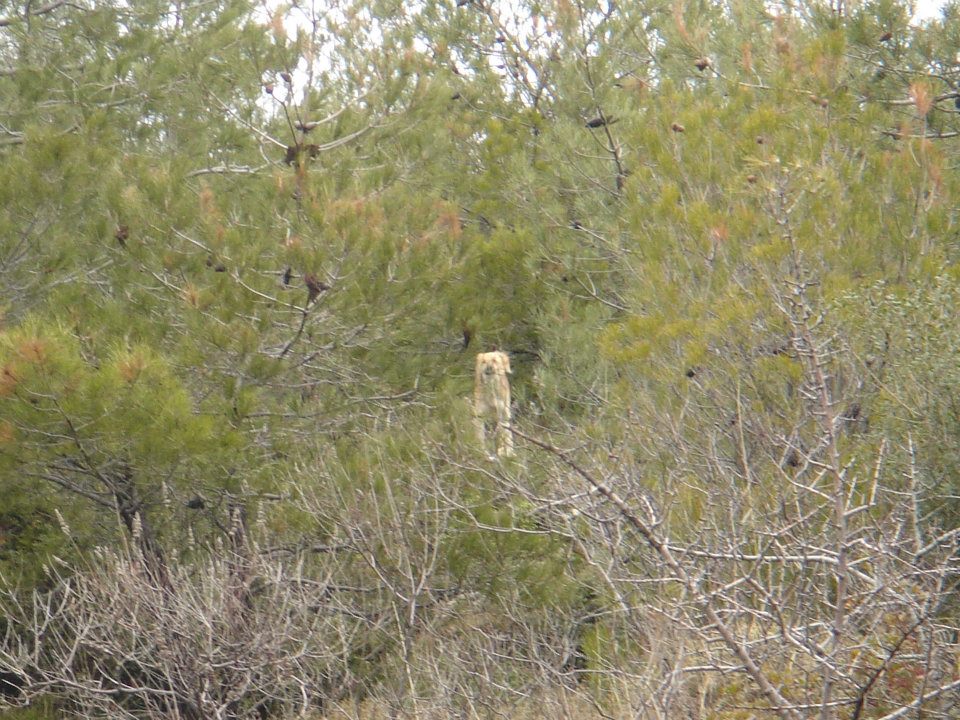 Ertan AÃƒÂƒÃ‚Â„ÃƒÂ‚Ã‚ÂŸabeyin Objektifen 011.jpg