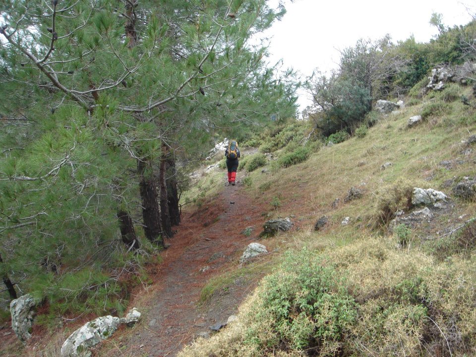 Ertan AÃƒÂƒÃ‚Â„ÃƒÂ‚Ã‚ÂŸabeyin Objektifen 013.jpg