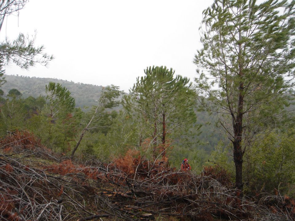 Ertan AÃƒÂƒÃ‚Â„ÃƒÂ‚Ã‚ÂŸabeyin Objektifen 019.jpg