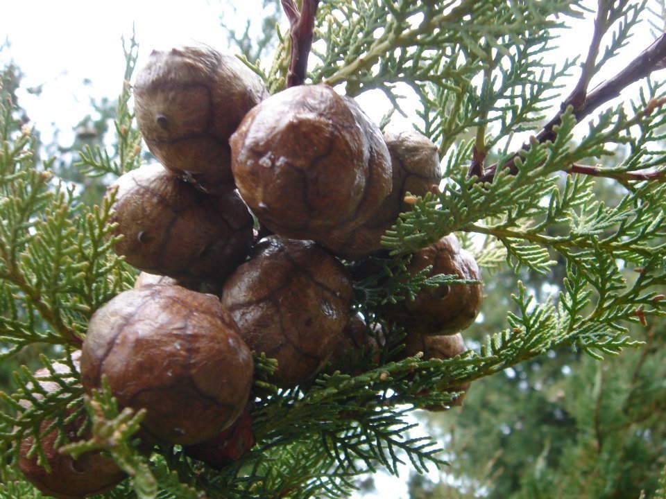 Ertan AÃƒÂƒÃ‚Â„ÃƒÂ‚Ã‚ÂŸabeyin Objektifen 022.jpg