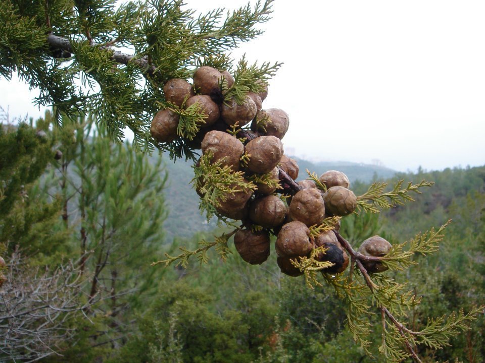Ertan AÃƒÂƒÃ‚Â„ÃƒÂ‚Ã‚ÂŸabeyin Objektifen 023.jpg