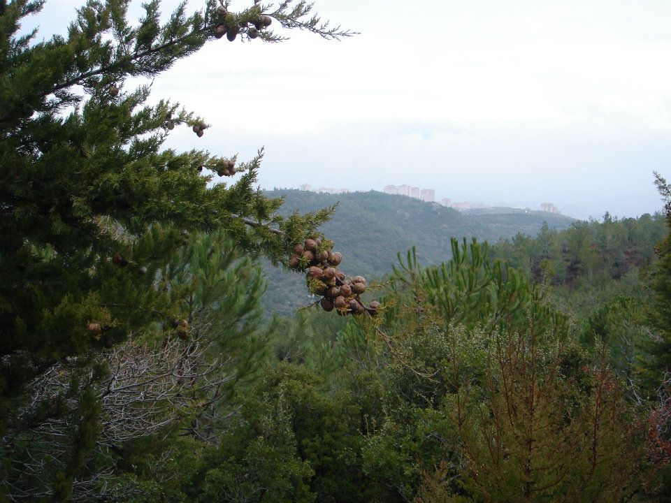 Ertan AÃƒÂƒÃ‚Â„ÃƒÂ‚Ã‚ÂŸabeyin Objektifen 024.jpg