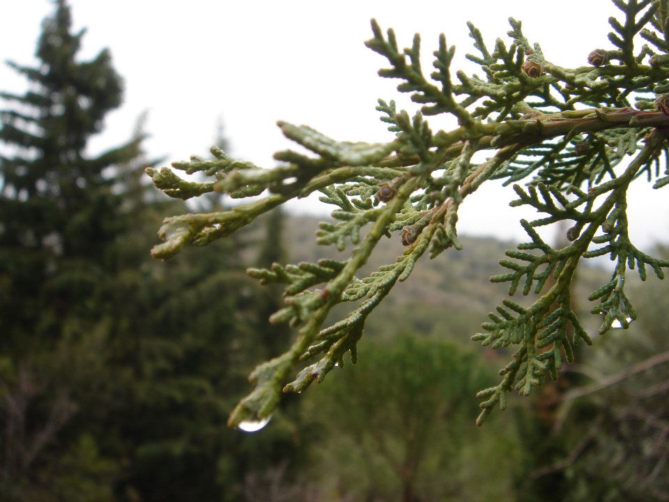 Ertan AÃƒÂƒÃ‚Â„ÃƒÂ‚Ã‚ÂŸabeyin Objektifen 025.jpg