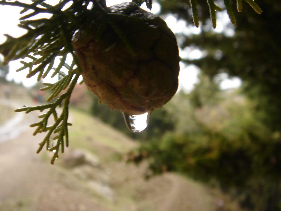 Ertan AÃƒÂƒÃ‚Â„ÃƒÂ‚Ã‚ÂŸabeyin Objektifen 026.jpg