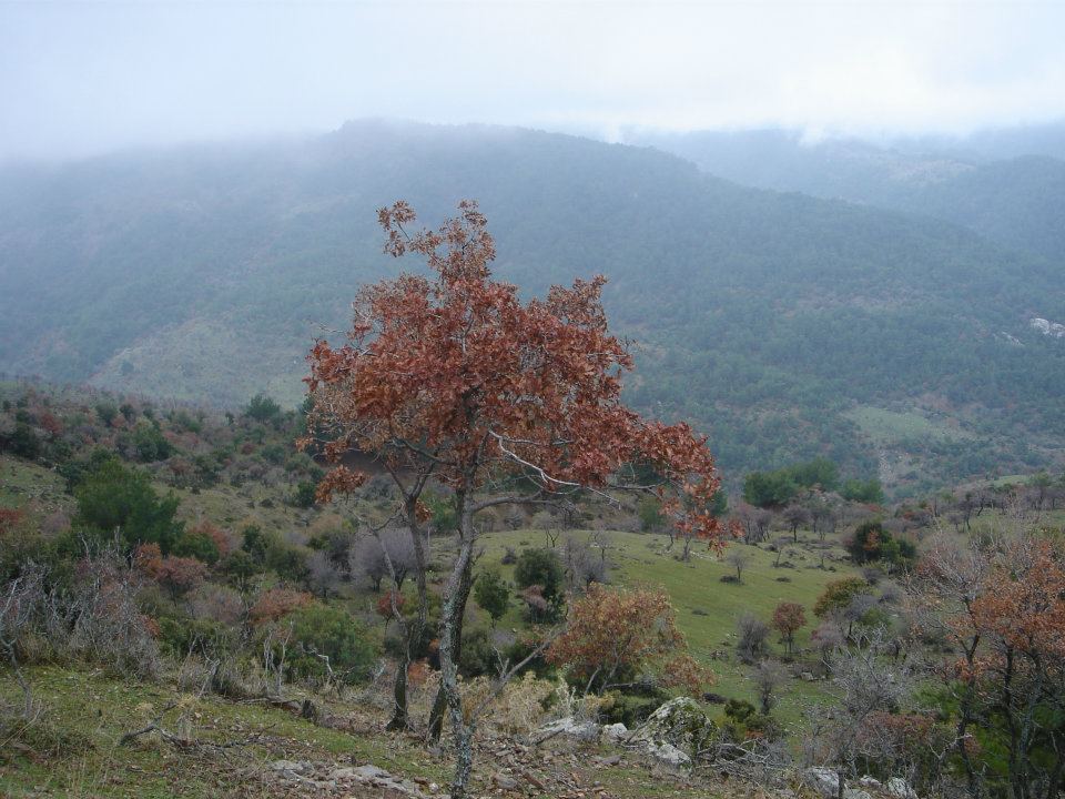 Ertan AÃƒÂƒÃ‚Â„ÃƒÂ‚Ã‚ÂŸabeyin Objektifen 029.jpg