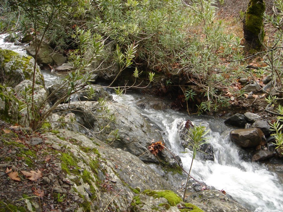 Ertan AÃƒÂƒÃ‚Â„ÃƒÂ‚Ã‚ÂŸabeyin Objektifen 033.jpg