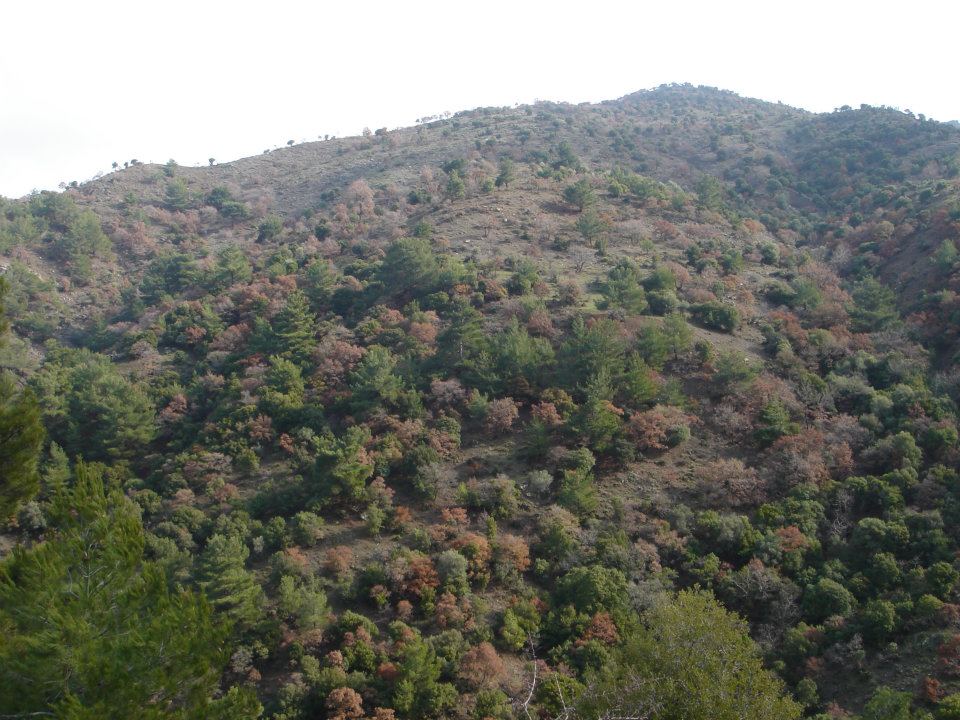 Ertan AÃƒÂƒÃ‚Â„ÃƒÂ‚Ã‚ÂŸabeyin Objektifen 036.jpg