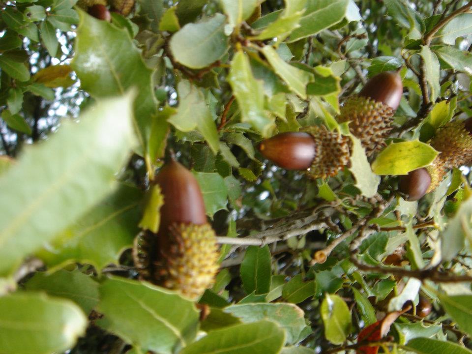 Ertan AÃƒÂƒÃ‚Â„ÃƒÂ‚Ã‚ÂŸabeyin Objektifen 038.jpg