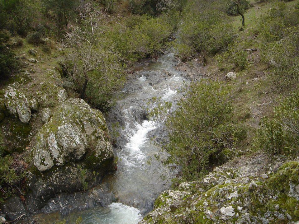 Ertan AÃƒÂƒÃ‚Â„ÃƒÂ‚Ã‚ÂŸabeyin Objektifen 045.jpg