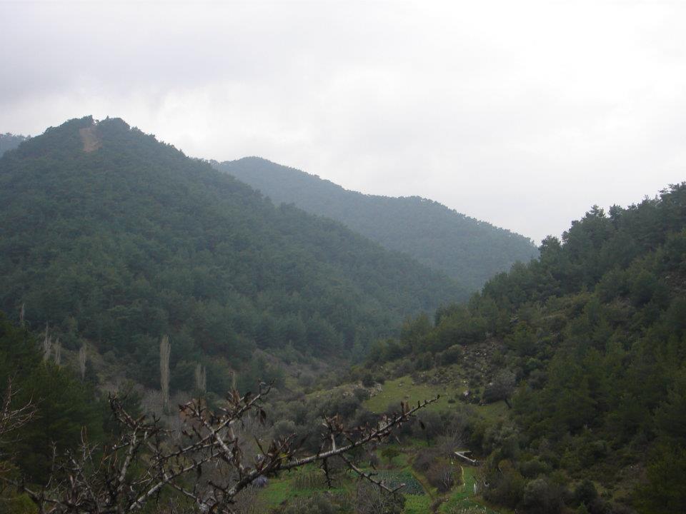 Ertan AÃƒÂƒÃ‚Â„ÃƒÂ‚Ã‚ÂŸabeyin Objektifen 053.jpg