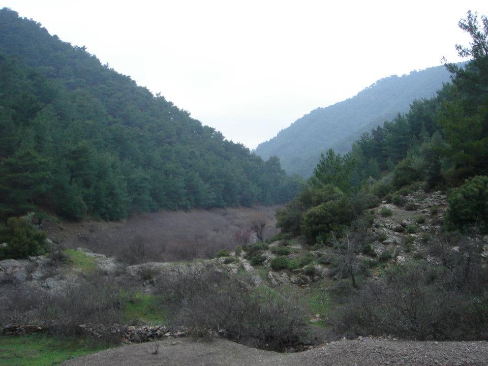 Ertan AÃƒÂƒÃ‚Â„ÃƒÂ‚Ã‚ÂŸabeyin Objektifen 056.jpg