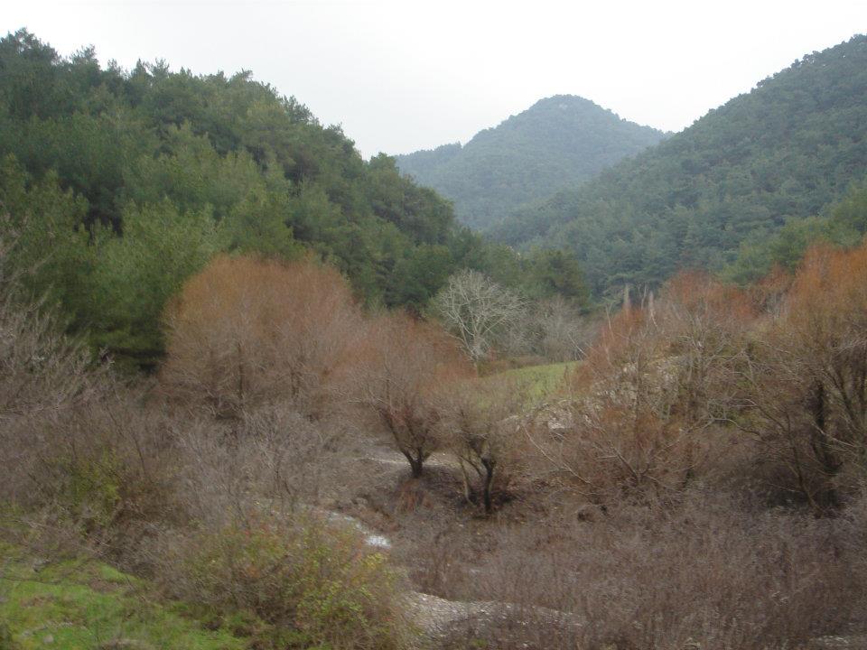 Ertan AÃƒÂƒÃ‚Â„ÃƒÂ‚Ã‚ÂŸabeyin Objektifen 057.jpg