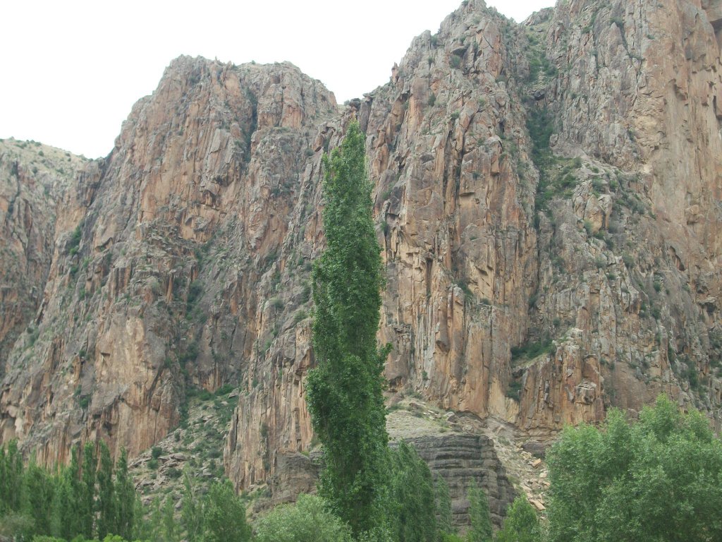 Erzurum 7.jpg