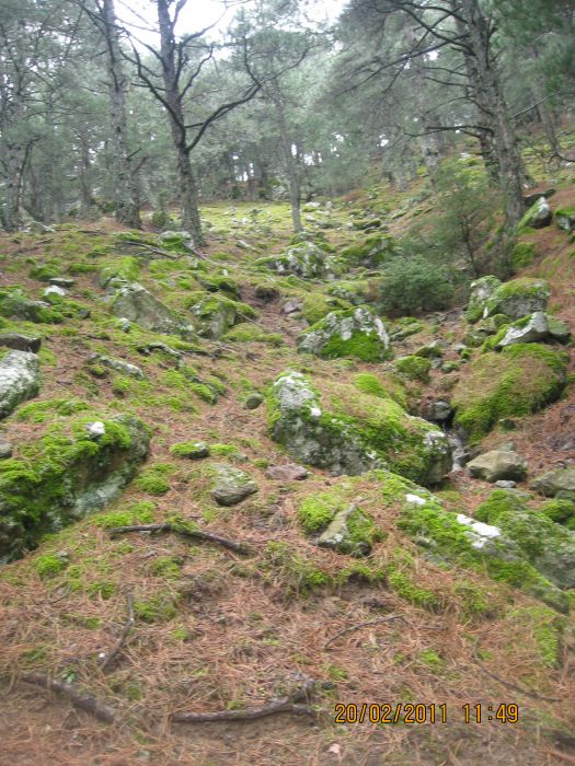 Ev ka-4 - ÃƒÂƒÃ‚ÂƒÃƒÂ‚Ã‚Â‡amiÃƒÂƒÃ‚ÂƒÃƒÂ‚Ã‚Â§i 147.jpg