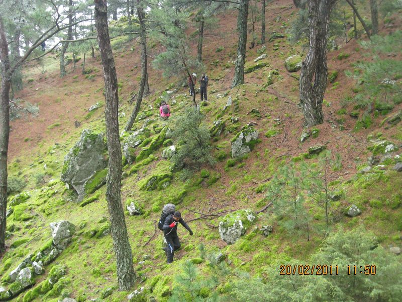 Ev ka-4 - ÃƒÂƒÃ‚ÂƒÃƒÂ‚Ã‚Â‡amiÃƒÂƒÃ‚ÂƒÃƒÂ‚Ã‚Â§i 148.jpg