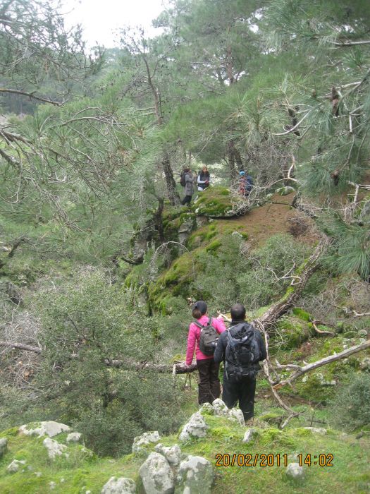 Ev ka-4 - ÃƒÂƒÃ‚ÂƒÃƒÂ‚Ã‚Â‡amiÃƒÂƒÃ‚ÂƒÃƒÂ‚Ã‚Â§i 152.jpg