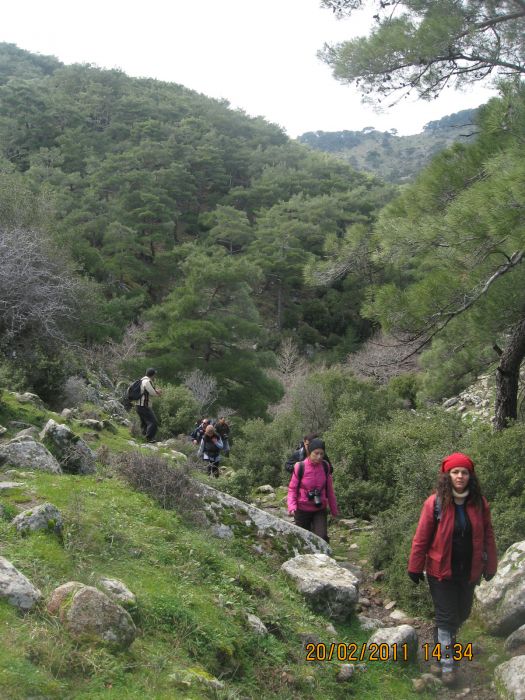 Ev ka-4 - ÃƒÂƒÃ‚ÂƒÃƒÂ‚Ã‚Â‡amiÃƒÂƒÃ‚ÂƒÃƒÂ‚Ã‚Â§i 155.jpg