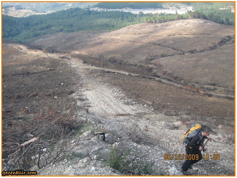 Evka - 3 YanmÃƒÂƒÃ‚Â„ÃƒÂ‚Ã‚Â±ÃƒÂƒÃ‚Â…ÃƒÂ‚Ã‚ÂŸ Orman.jpg