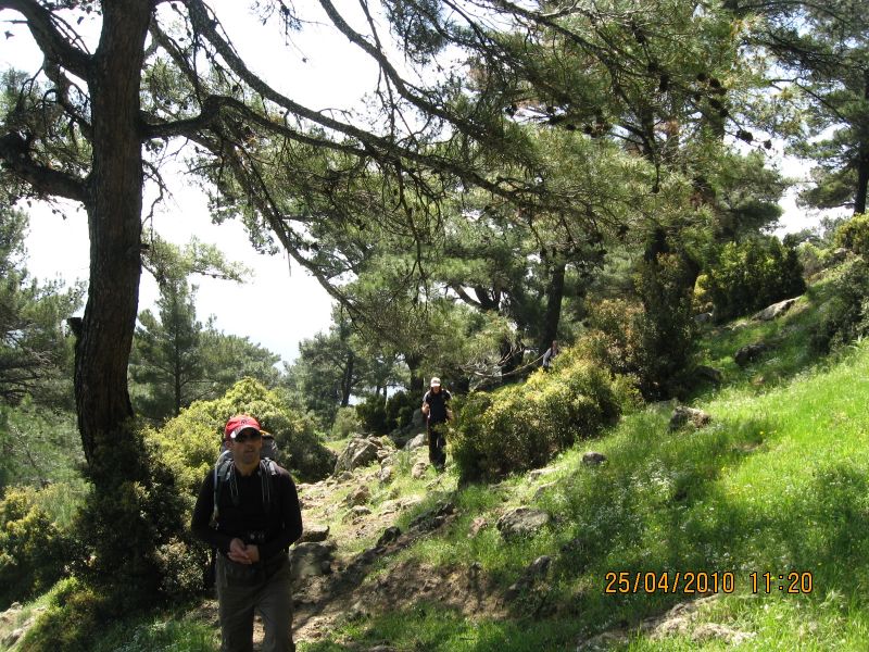 Evka4 - Homeros 116.jpg