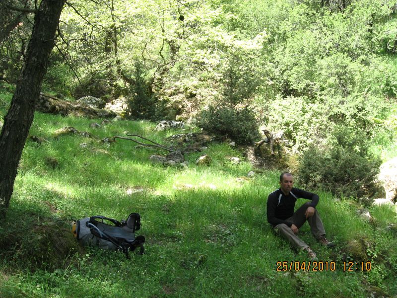 Evka4 - Homeros 120.jpg