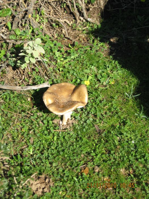 Evka4 - Yamanlar 21 KasÃƒÂƒÃ‚Â„ÃƒÂ‚Ã‚Â±m10 107.jpg