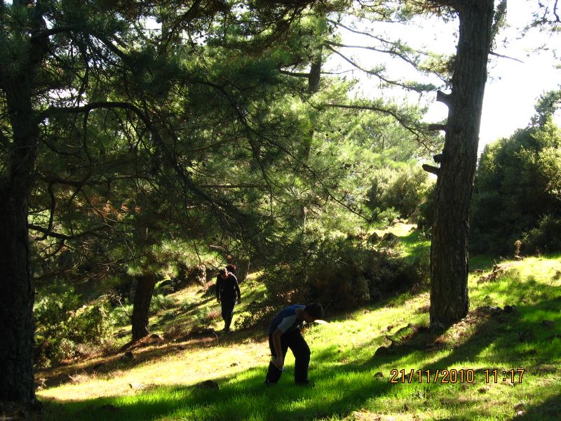 Evka4 - Yamanlar 21 KasÃƒÂƒÃ‚Â„ÃƒÂ‚Ã‚Â±m10 116.jpg