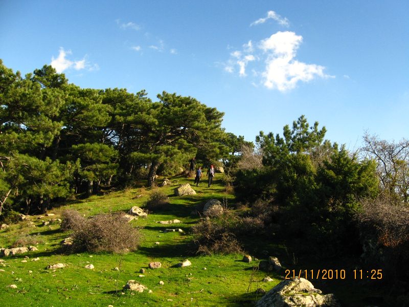 Evka4 - Yamanlar 21 KasÃƒÂƒÃ‚Â„ÃƒÂ‚Ã‚Â±m10 117.jpg