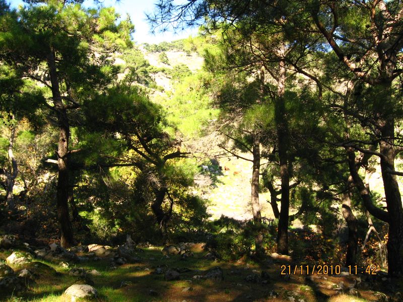 Evka4 - Yamanlar 21 KasÃƒÂƒÃ‚Â„ÃƒÂ‚Ã‚Â±m10 120.jpg