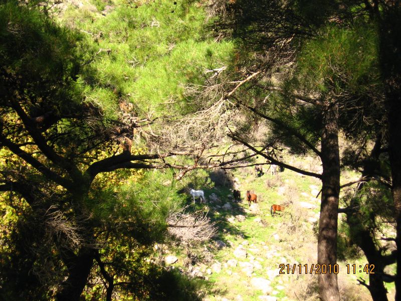 Evka4 - Yamanlar 21 KasÃƒÂƒÃ‚Â„ÃƒÂ‚Ã‚Â±m10 121.jpg