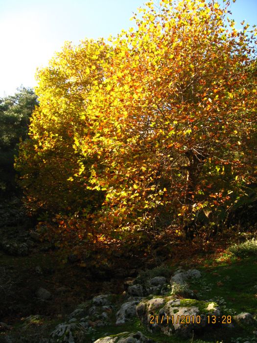 Evka4 - Yamanlar 21 KasÃƒÂƒÃ‚Â„ÃƒÂ‚Ã‚Â±m10 134.jpg