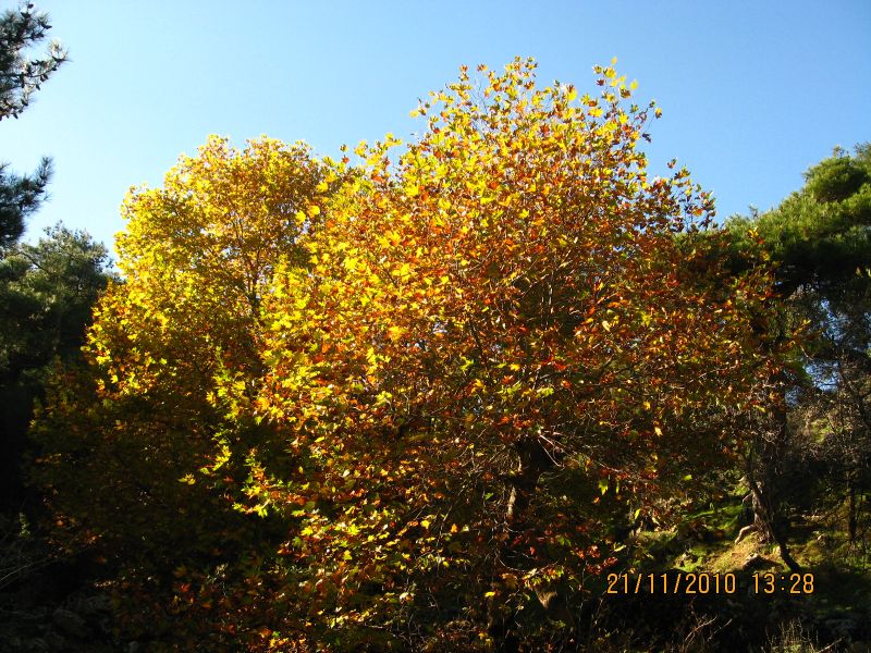 Evka4 - Yamanlar 21 KasÃƒÂƒÃ‚Â„ÃƒÂ‚Ã‚Â±m10 136.jpg