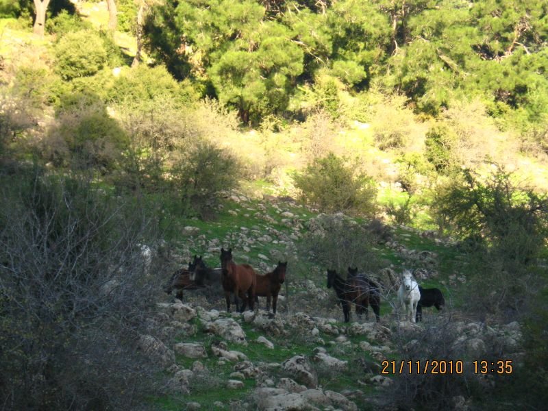 Evka4 - Yamanlar 21 KasÃƒÂƒÃ‚Â„ÃƒÂ‚Ã‚Â±m10 138.jpg