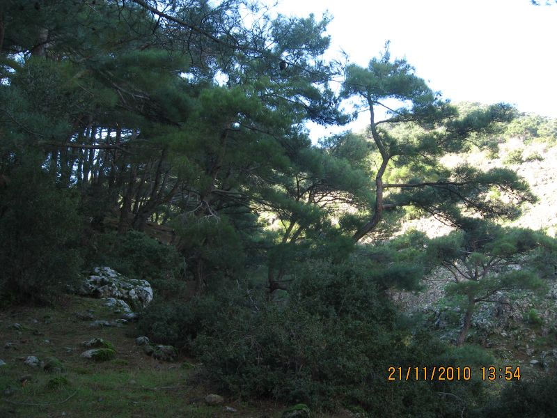 Evka4 - Yamanlar 21 KasÃƒÂƒÃ‚Â„ÃƒÂ‚Ã‚Â±m10 148.jpg