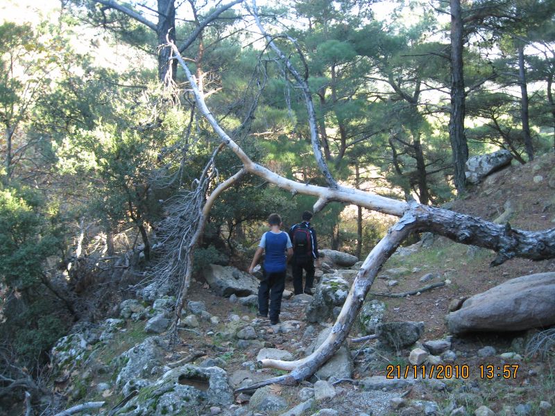 Evka4 - Yamanlar 21 KasÃƒÂƒÃ‚Â„ÃƒÂ‚Ã‚Â±m10 149.jpg