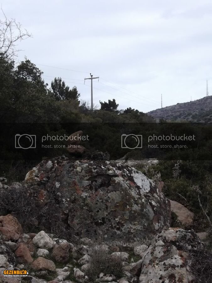 Evka4den-Harmandalna11Mart201200020.jpg