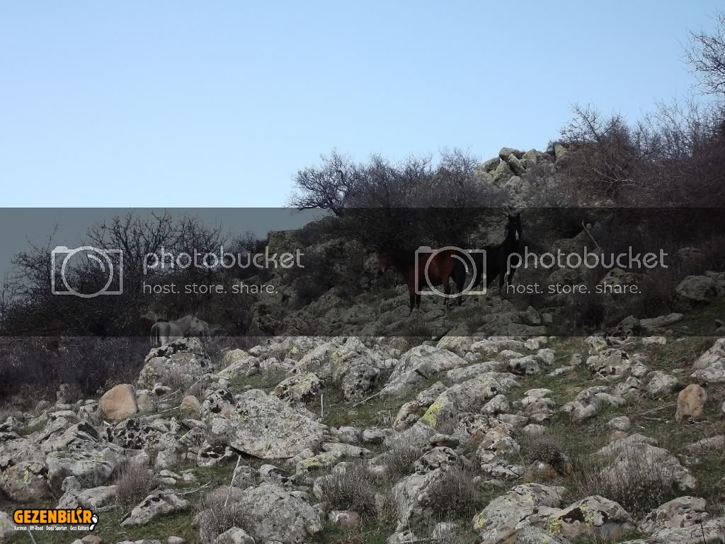 Evka4den-Harmandalna11Mart201200034.jpg