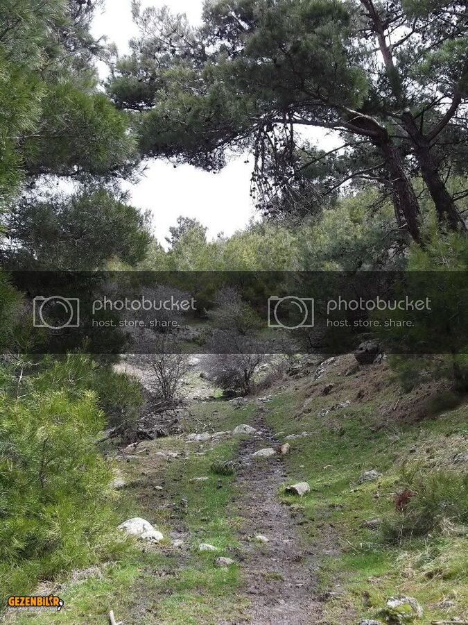 Evka4den-Harmandalna11Mart201200074.jpg