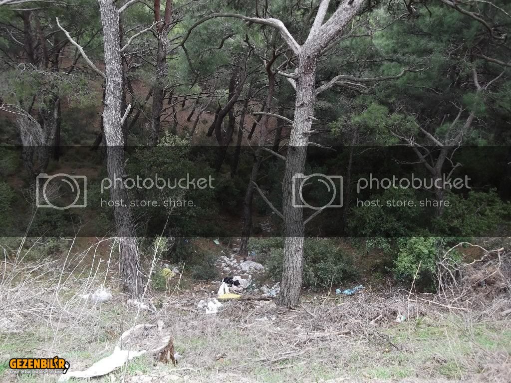 Evka4den-Harmandalna11Mart201200097.jpg