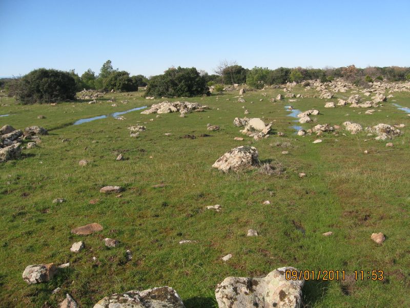 Evka6 Yamanlar  09.01.2011 056.jpg