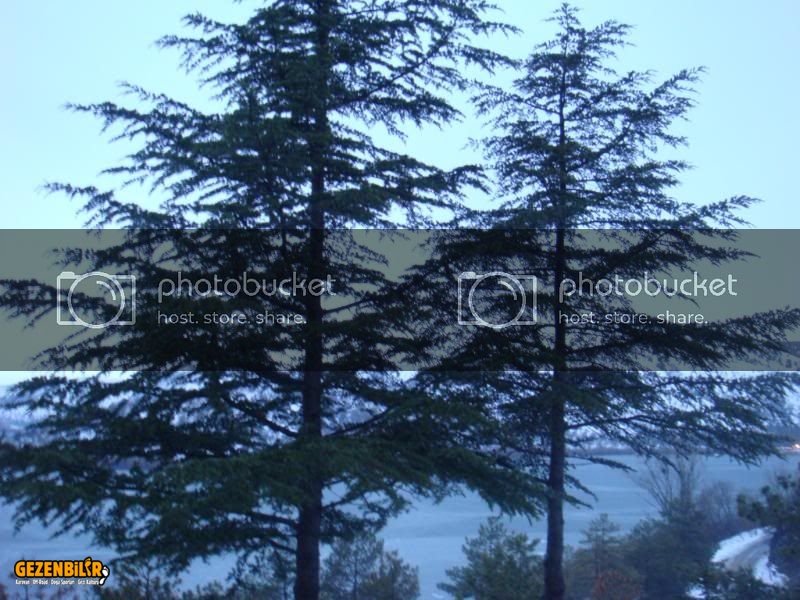 Eymir082.jpg