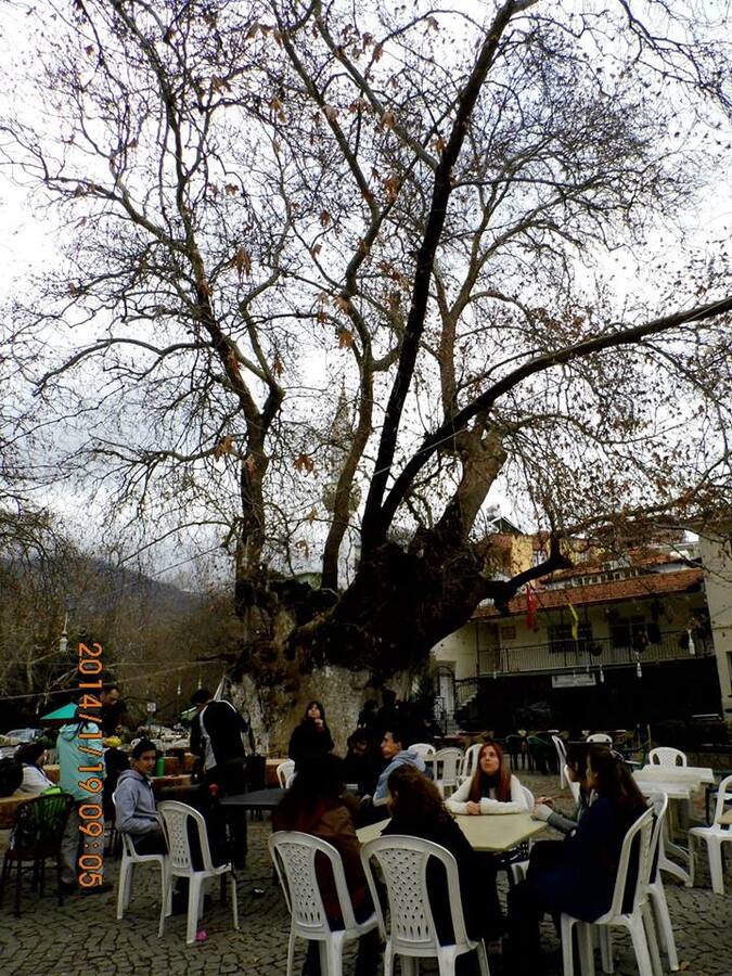 EyyÃƒÂƒÃ‚ÂƒÃƒÂ‚Ã‚Â¼p Selek Objektif - 002.jpg