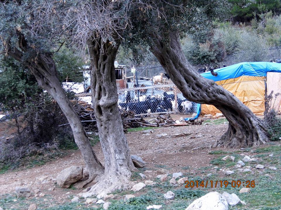 EyyÃƒÂƒÃ‚ÂƒÃƒÂ‚Ã‚Â¼p Selek Objektif - 005.jpg