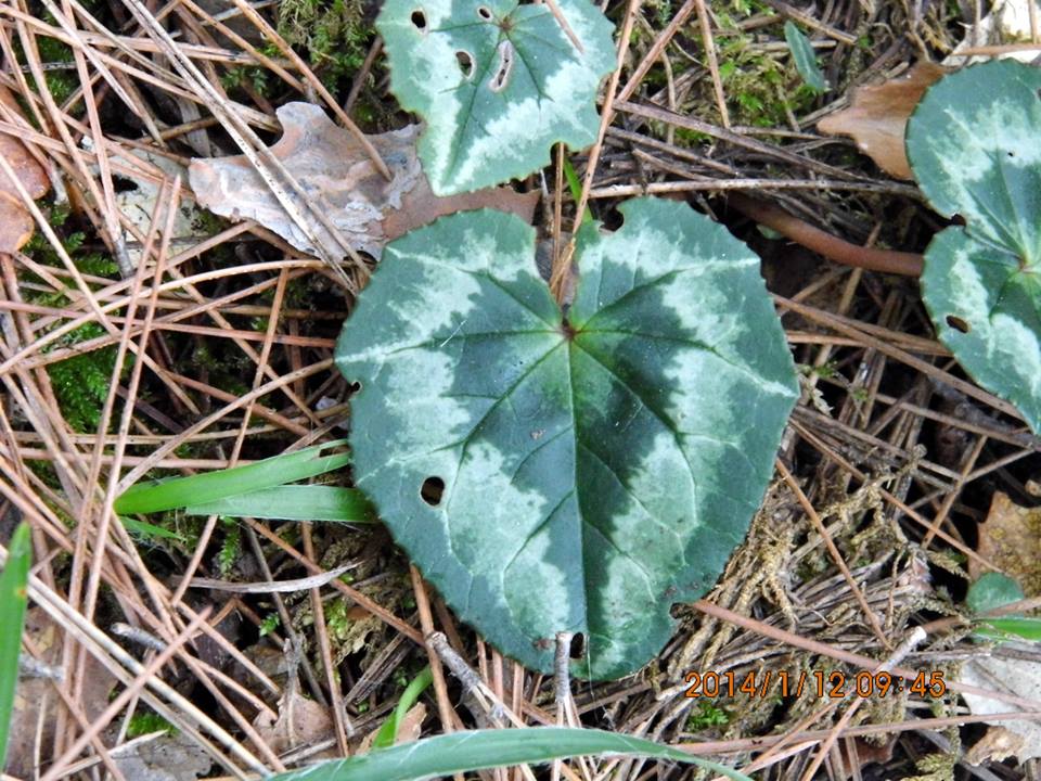 EyyÃƒÂƒÃ‚ÂƒÃƒÂ‚Ã‚Â¼p Selek Objektif 006.jpg