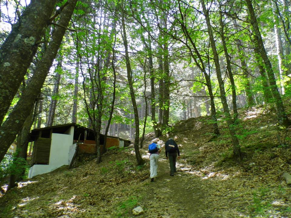 EyyÃƒÂƒÃ‚ÂƒÃƒÂ‚Ã‚Â¼p Selek Objektif 007.jpg