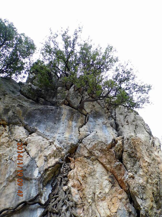 EyyÃƒÂƒÃ‚ÂƒÃƒÂ‚Ã‚Â¼p Selek Objektif - 007.jpg