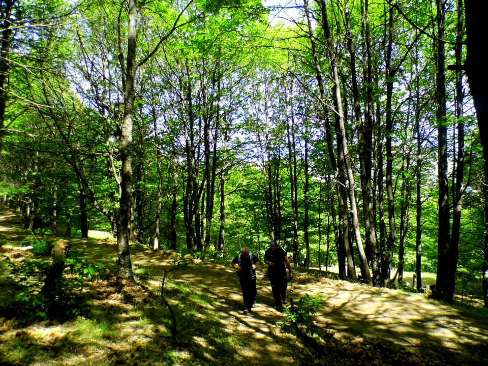 EyyÃƒÂƒÃ‚ÂƒÃƒÂ‚Ã‚Â¼p Selek Objektif 008.jpg