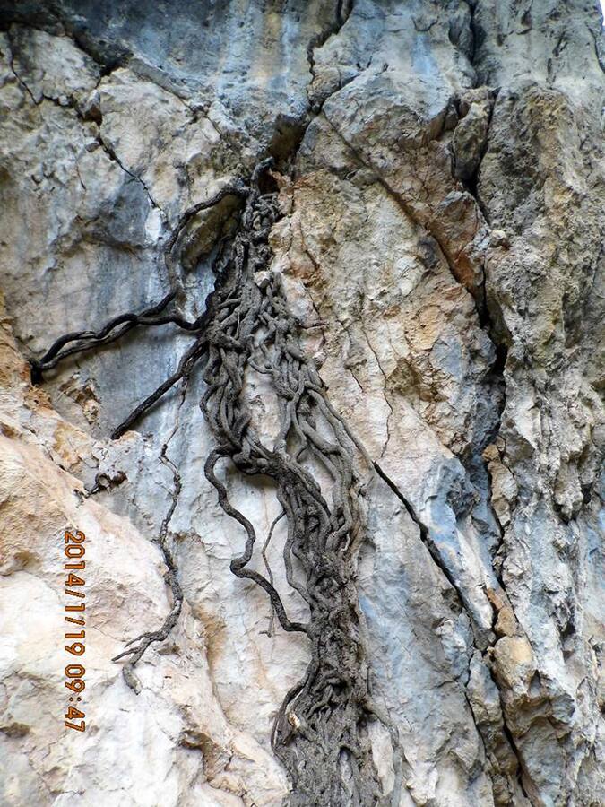 EyyÃƒÂƒÃ‚ÂƒÃƒÂ‚Ã‚Â¼p Selek Objektif - 008.jpg