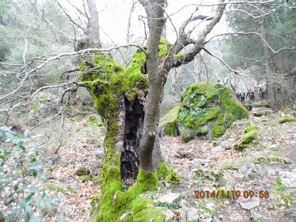 EyyÃƒÂƒÃ‚ÂƒÃƒÂ‚Ã‚Â¼p Selek Objektif - 009.jpg