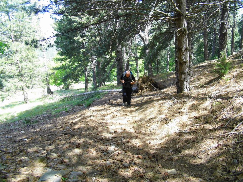 EyyÃƒÂƒÃ‚ÂƒÃƒÂ‚Ã‚Â¼p Selek Objektif 010.jpg