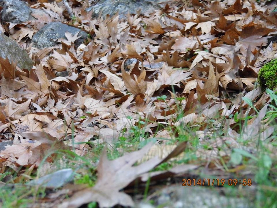 EyyÃƒÂƒÃ‚ÂƒÃƒÂ‚Ã‚Â¼p Selek Objektif - 010.jpg